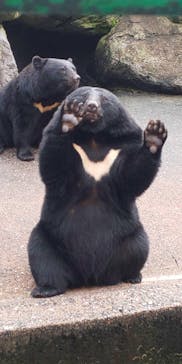 奥飛騨クマ牧場に投稿された画像（2024/10/27）