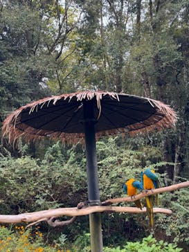 長崎バイオパークに投稿された画像（2024/10/27）