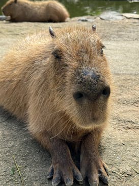 長崎バイオパークに投稿された画像（2024/10/27）