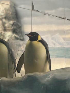 名古屋港水族館に投稿された画像（2024/10/27）