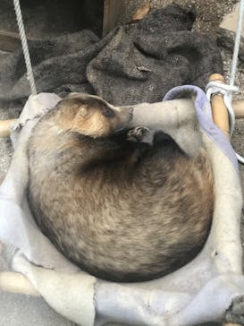 天王寺動物園に投稿された画像（2024/10/27）
