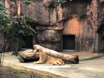 天王寺動物園に投稿された画像（2024/10/27）