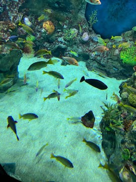 レゴランドⓇ・ジャパン・リゾートに投稿された画像（2024/10/27）