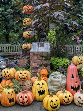 横浜イングリッシュガーデンに投稿された画像（2024/10/27）