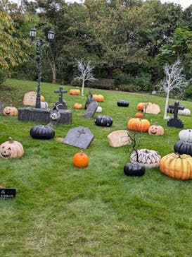 横浜イングリッシュガーデンに投稿された画像（2024/10/27）