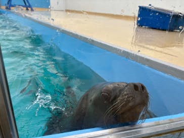 竹島水族館に投稿された画像（2024/10/27）