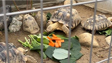 竹島水族館に投稿された画像（2024/10/27）