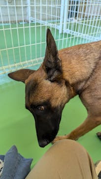 つくばわんわんランドに投稿された画像（2024/10/27）