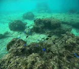 武藤潜水に投稿された画像（2024/10/27）