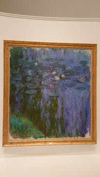 モネ 睡蓮のとき（国立西洋美術館）に投稿された画像（2024/10/27）
