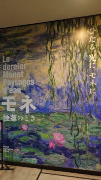モネ 睡蓮のとき（国立西洋美術館）に投稿された画像（2024/10/27）