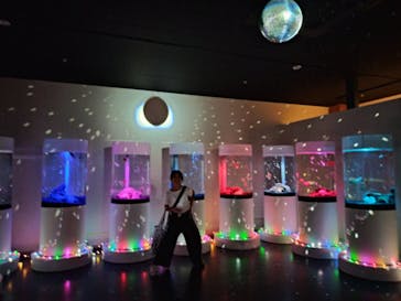 NARA IKIMONO MUSEUMに投稿された画像（2024/10/27）