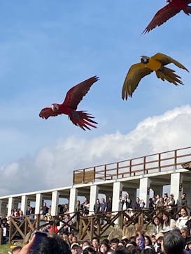 那須どうぶつ王国に投稿された画像（2024/10/27）