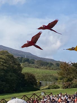 那須どうぶつ王国に投稿された画像（2024/10/27）