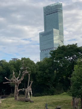 天王寺動物園に投稿された画像（2024/10/27）