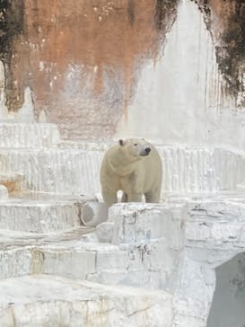 天王寺動物園に投稿された画像（2024/10/27）