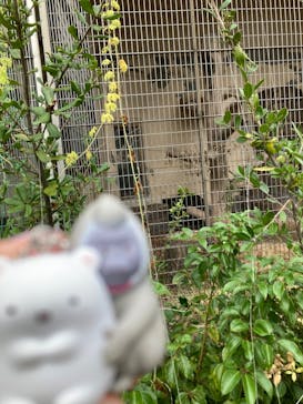 天王寺動物園に投稿された画像（2024/10/27）