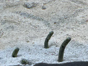 すみだ水族館に投稿された画像（2024/10/27）