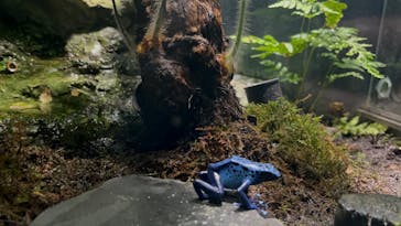 サンシャイン水族館に投稿された画像（2024/10/27）