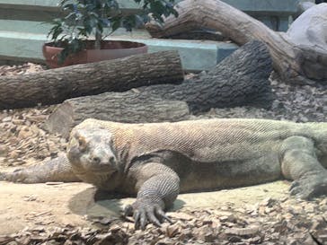 名古屋市東山動植物園に投稿された画像（2024/10/27）