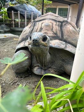 名古屋市東山動植物園に投稿された画像（2024/10/27）