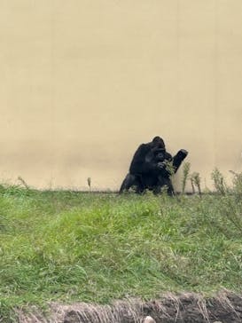 名古屋市東山動植物園に投稿された画像（2024/10/27）