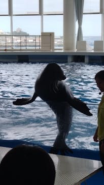 アクアワールド茨城県大洗水族館に投稿された画像（2024/10/27）