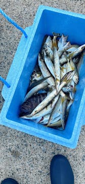 第三新生合同丸に投稿された画像（2024/10/27）