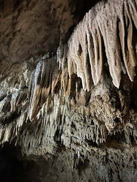 おきなわワールドに投稿された画像（2024/10/27）