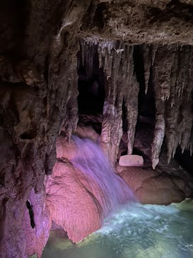 おきなわワールドに投稿された画像（2024/10/27）