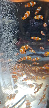 鴨川シーワールドに投稿された画像（2024/10/27）