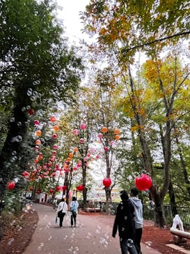 ムーミンバレーパークに投稿された画像（2024/10/27）