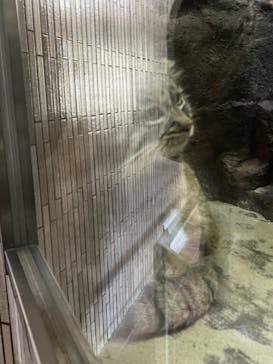 恩賜上野動物園に投稿された画像（2024/10/27）