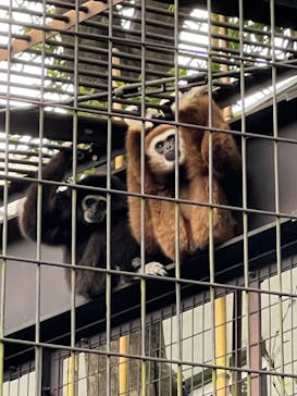 恩賜上野動物園に投稿された画像（2024/10/27）