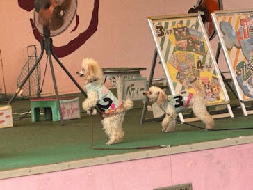 つくばわんわんランドに投稿された画像（2024/10/27）