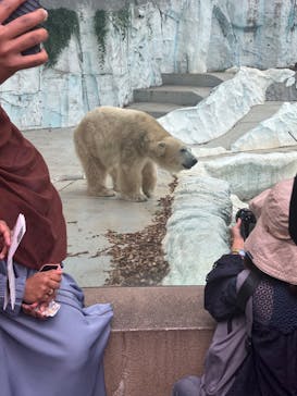 横浜イングリッシュガーデンに投稿された画像（2024/10/27）