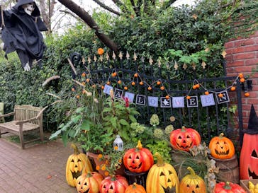 横浜イングリッシュガーデンに投稿された画像（2024/10/27）