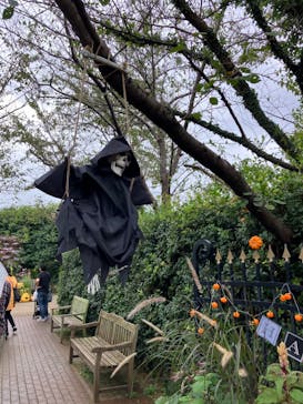 横浜イングリッシュガーデンに投稿された画像（2024/10/27）