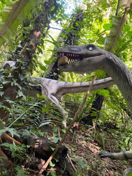 御菓子御殿　名護店　やんばる亜熱帯の森DINO恐竜PARKに投稿された画像（2024/10/27）