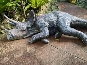 御菓子御殿　名護店　やんばる亜熱帯の森DINO恐竜PARKに投稿された画像（2024/10/27）