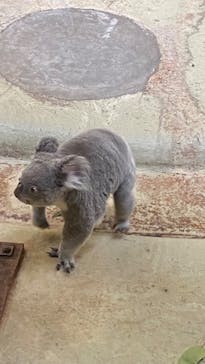 多摩動物公園に投稿された画像（2024/10/27）