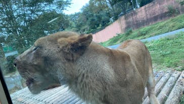 多摩動物公園に投稿された画像（2024/10/27）