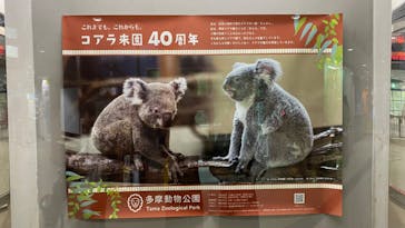 多摩動物公園に投稿された画像（2024/10/27）