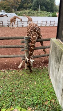 多摩動物公園に投稿された画像（2024/10/27）