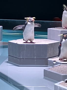 AOAO SAPPOROに投稿された画像（2024/10/27）