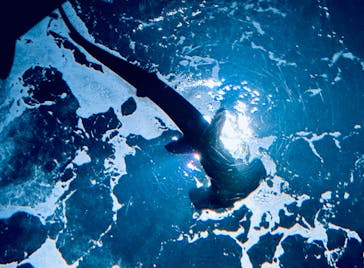 四国水族館に投稿された画像（2024/10/27）