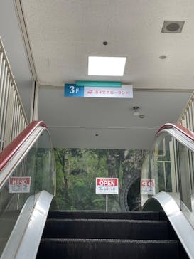 海洋堂ホビーランドに投稿された画像（2024/9/29）