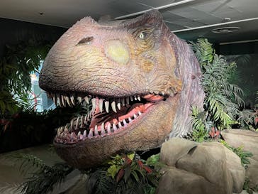 海洋堂ホビーランドに投稿された画像（2024/9/29）