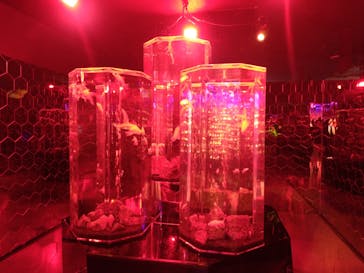 NARA KINGYO MUSEUMに投稿された画像（2024/10/27）