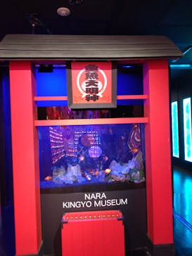 NARA KINGYO MUSEUMに投稿された画像（2024/10/27）